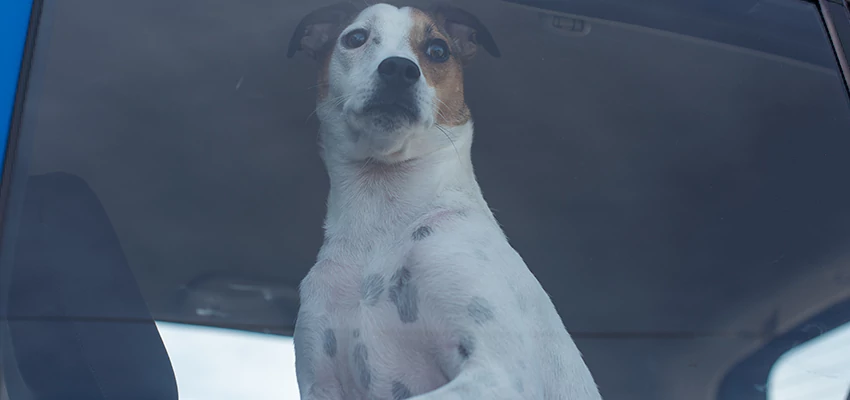 Car Lockout Solutions in Cerritos, California