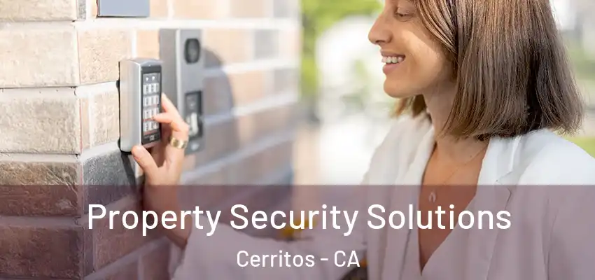 Property Security Solutions Cerritos - CA